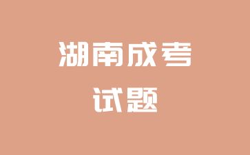 2024年湖南成考專(zhuān)升本《英語(yǔ)》動(dòng)詞不定式用法（3）