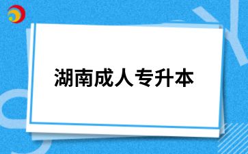 2024年湖南成人專升本專業(yè)課考試科目分哪幾種